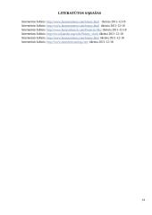 Dvejetainis laikrodis 16 puslapis