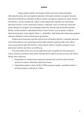 Dvejetainis laikrodis 4 puslapis