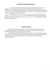 Dvejetainis laikrodis 5 puslapis