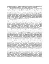 Disonansas ir paveldo panaudos 2 puslapis