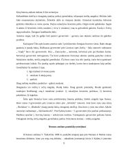 Vandalino Sukevičiaus ataskaitos 11 puslapis