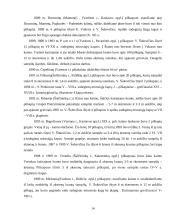 Vandalino Sukevičiaus ataskaitos 14 puslapis