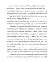 Vandalino Sukevičiaus ataskaitos 15 puslapis