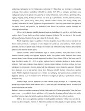 Vandalino Sukevičiaus ataskaitos 17 puslapis