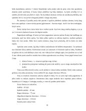 Vandalino Sukevičiaus ataskaitos 18 puslapis