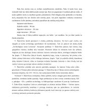 Vandalino Sukevičiaus ataskaitos 19 puslapis