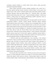 Vandalino Sukevičiaus ataskaitos 4 puslapis