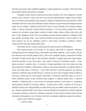 Vandalino Sukevičiaus ataskaitos 7 puslapis