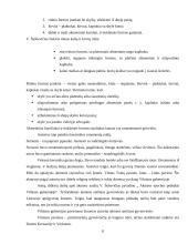 Vandalino Sukevičiaus ataskaitos 8 puslapis