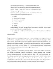 Vandalino Sukevičiaus ataskaitos 9 puslapis