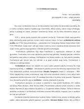 Verslininkystės samprata 2 puslapis