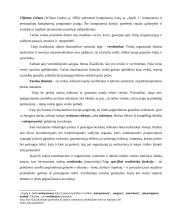 Verslininkystės samprata 3 puslapis