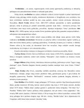 Verslininkystės samprata 4 puslapis