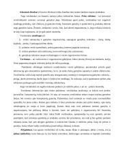 Verslininkystės samprata 5 puslapis