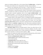 Verslininkystės samprata 6 puslapis