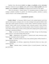 Verslininkystės samprata 7 puslapis