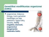 GMO mitai ir tikrovė 2 puslapis