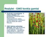 GMO mitai ir tikrovė 5 puslapis