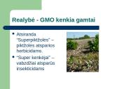 GMO mitai ir tikrovė 8 puslapis