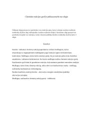 Cheminė kinetika konspektas 5 puslapis