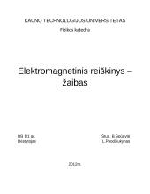 Elektromagnetinis reiškinys-žaibas 5 puslapis