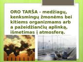Skaidrės apie oro taršą 2 puslapis