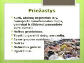 Skaidrės apie oro taršą 3 puslapis