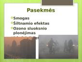 Skaidrės apie oro taršą 4 puslapis