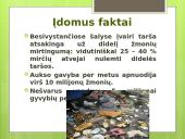 Skaidrės apie oro taršą 5 puslapis