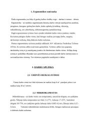 Darbo vietos kūrimas 2 puslapis