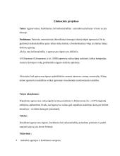 Agresyvumas, šiurkštumas, bei keiksmažodžiai : atsiradimo priežastys ir kova su jais šeimoje 3 puslapis