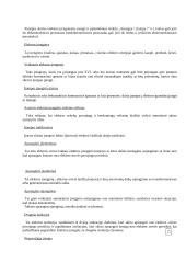 Darbų saugos teorijos konspektai 3 puslapis