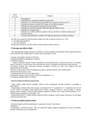 Darbų saugos teorijos konspektai 7 puslapis