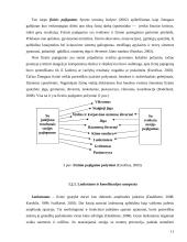 Gatvės šokių poveikis 8 – 11 metų vaikų lankstumui ir koordinacijai 11 puslapis