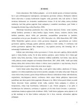 Gatvės šokių poveikis 8 – 11 metų vaikų lankstumui ir koordinacijai 5 puslapis