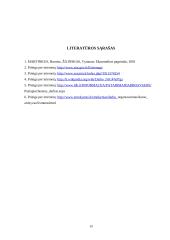 Darbas. Darbo jėga. 19 puslapis