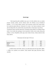 Darbas. Darbo jėga. 5 puslapis