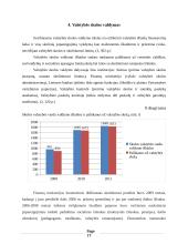 Valstybės skolos Lietuvoje analizė 17 puslapis