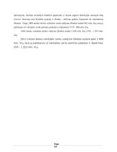 Valstybės skolos Lietuvoje analizė 18 puslapis