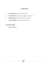 Valstybės skolos Lietuvoje analizė 20 puslapis