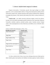 Valstybės skolos Lietuvoje analizė 4 puslapis