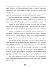 Valstybės skolos Lietuvoje analizė 5 puslapis