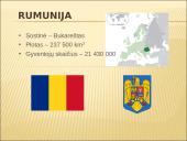 Rumunijos ir Slovakijos mokesčiai 2 puslapis