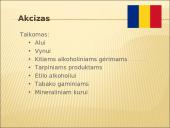 Rumunijos ir Slovakijos mokesčiai 11 puslapis