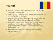Rumunijos ir Slovakijos mokesčiai 12 puslapis