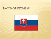 Rumunijos ir Slovakijos mokesčiai 17 puslapis
