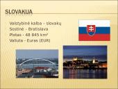 Rumunijos ir Slovakijos mokesčiai 18 puslapis