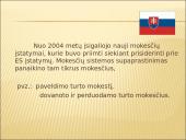 Rumunijos ir Slovakijos mokesčiai 19 puslapis