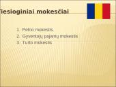 Rumunijos ir Slovakijos mokesčiai 4 puslapis