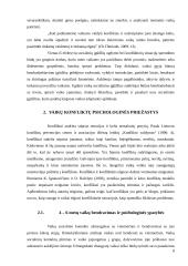 Vaikų konfliktai 8 puslapis
